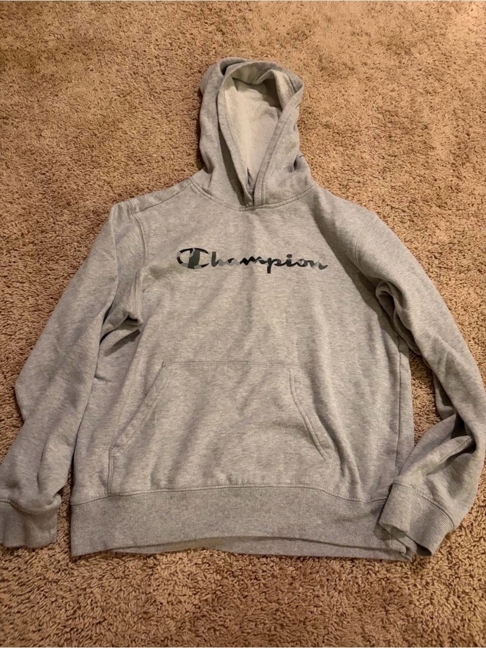 Champion Men's Gray Hooded Sweatshirt